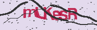 Codice captcha
