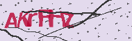 Codice captcha