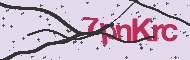 Codice captcha