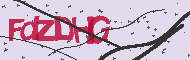 Codice captcha
