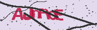 Codice captcha