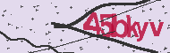 Codice captcha