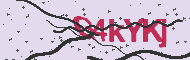 Codice captcha