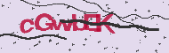 Codice captcha