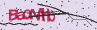Codice captcha