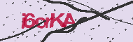 Codice captcha