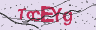 Codice captcha