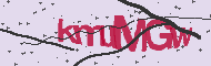 Codice captcha
