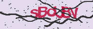 Codice captcha