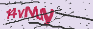 Codice captcha