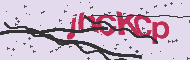 Codice captcha