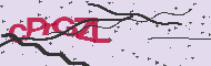 Codice captcha
