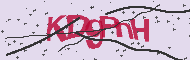 Codice captcha