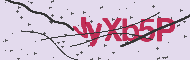 Codice captcha