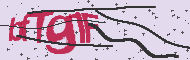 Codice captcha