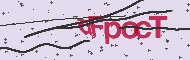Codice captcha