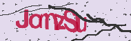 Codice captcha