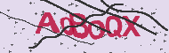 Codice captcha