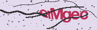 Codice captcha