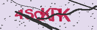 Codice captcha