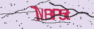 Codice captcha