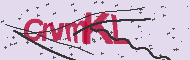 Codice captcha