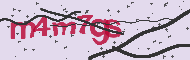 Codice captcha