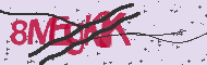 Codice captcha