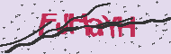 Codice captcha