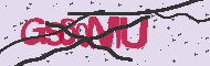 Codice captcha
