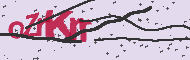 Codice captcha