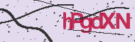 Codice captcha