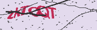 Codice captcha