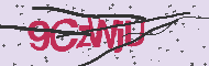 Codice captcha