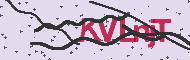 Codice captcha