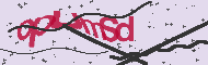 Codice captcha