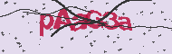 Codice captcha