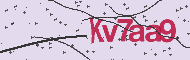 Codice captcha